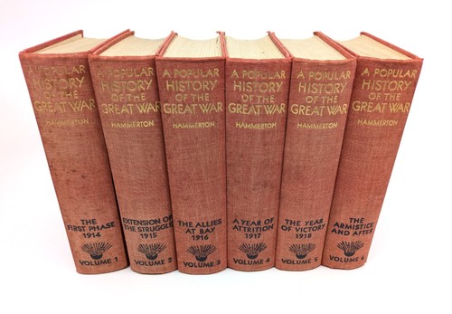Vintage wwi book - vintage, popular